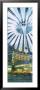 Ceiling Of A Building, Sony Center, Potsdamer Platz, Berlin, Germany by Panoramic Images Limited Edition Print