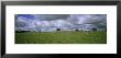 Flock Of Sheep Grazing On A Field, Australia by Panoramic Images Limited Edition Print
