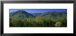 Mountains In A National Park, Great Smoky Mountains National Park, Tennessee, Usa by Panoramic Images Limited Edition Print
