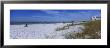 Tourists On The Beach, Crescent Beach, Gulf Of Mexico, Siesta Key, Florida, Usa by Panoramic Images Limited Edition Print