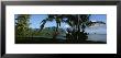 Palm Trees On The Waterfront, Kaneohe Bay, Oahu, Hawaii, Usa by Panoramic Images Limited Edition Pricing Art Print