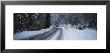 Arrow Sign At The Roadside In A Forest, Yosemite National Park, California, Usa by Panoramic Images Limited Edition Print