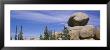 Trees Near Rock Formations, Vedauwoo, Medicine Bow National Forest, Wyoming, Usa by Panoramic Images Limited Edition Pricing Art Print