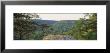 Milligans Overlook, Creek Falls State Park, Pikesville Fall, Tennessee, Usa by Panoramic Images Limited Edition Pricing Art Print