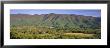 Church In A Forest, Great Smoky Mountains National Park, Tennessee, Usa by Panoramic Images Limited Edition Print