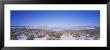 Snow Covered Landscape Around A Lake, Mono Lake, California, Usa by Panoramic Images Limited Edition Pricing Art Print