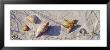 Starfish And Seashells On The Beach, Dauphin Island, Alabama, Usa by Panoramic Images Limited Edition Print