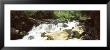 River Flowing Through The Forest, Chattooga River, Nantahala National Forest, North Carolina, Usa by Panoramic Images Limited Edition Print