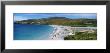 Penguins On Beach, New Island, Falkland Islands by Panoramic Images Limited Edition Pricing Art Print