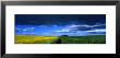 Clouds Over A Cultivated Field, Hunmanby, Yorkshire Wolds, England, United Kingdom by Panoramic Images Limited Edition Print