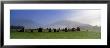 Stone Circle On A Landscape, Castlerigg Stone Circle, Keswick, Lake District, Cumbria, England, Uk by Panoramic Images Limited Edition Print