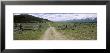 Dirt Road In A Landscape, Grand Teton National Park, Wyoming, Usa by Panoramic Images Limited Edition Print