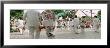 Traditional Yucatan Dance Performance, Merida, Yucatan, Mexico by Panoramic Images Limited Edition Print