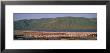 Flock Of Birds In A Lake, Lake Bogoria National Park, Kenya, Africa by Panoramic Images Limited Edition Pricing Art Print
