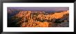 Bryce Canyon National Park, Utah, Usa by Panoramic Images Limited Edition Pricing Art Print