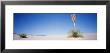 White Sands National Monument, New Mexico, Usa by Panoramic Images Limited Edition Print