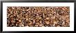Cobble Stone Near Lake, Bass Lake, California, Usa by Panoramic Images Limited Edition Print