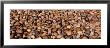 Cobble Stone Near Lake, Bass Lake, California, Usa by Panoramic Images Limited Edition Print