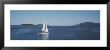 Sailboat Sailing In The Sea, San Juan, Washington State, Usa by Panoramic Images Limited Edition Print