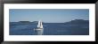 Sailboat Sailing In The Sea, San Juan, Washington State, Usa by Panoramic Images Limited Edition Pricing Art Print