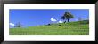 Cows, Canton Zug, Switzerland by Panoramic Images Limited Edition Pricing Art Print
