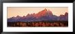 Aspens, Teton Range, Grand Teton National Park, Wyoming, Usa by Panoramic Images Limited Edition Print