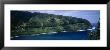 Forest On An Island, Hana, Maui, Hawaii, Usa by Panoramic Images Limited Edition Print