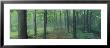 Chestnut Ridge Park, Orchard Park, New York State, Usa by Panoramic Images Limited Edition Print