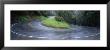 Road, Marin Country, California, Usa by Panoramic Images Limited Edition Print