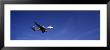 Boeing 747 Airplane In Flight by Panoramic Images Limited Edition Pricing Art Print