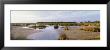 Black Point Wildlife, Merritt Island National Wildlife Refuge, Titusville, Florida, Usa by Panoramic Images Limited Edition Print