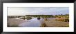 Black Point Wildlife, Merritt Island National Wildlife Refuge, Titusville, Florida, Usa by Panoramic Images Limited Edition Print