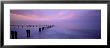 Wooden Posts In Water, Sandsend, Yorkshire, England, United Kingdom by Panoramic Images Limited Edition Print