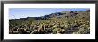 Coyote Canyon, Anza Borrego Desert State Park, California, Usa by Panoramic Images Limited Edition Print