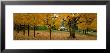 Autumn, Muskoka, Canada by Panoramic Images Limited Edition Pricing Art Print