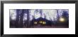 White Pines State Park, Illinois, Usa by Panoramic Images Limited Edition Print