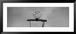 Black And White, Basketball Hoop by Panoramic Images Limited Edition Print