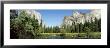 Siesta Lake Tioga, Yosemite National Park, California, Usa by Panoramic Images Limited Edition Print