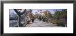 Umbrellas Hanging On Trees, Yangzhou, China by Panoramic Images Limited Edition Pricing Art Print