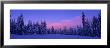 Forest In Winter, Dalarna, Sweden by Panoramic Images Limited Edition Pricing Art Print