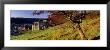 Church On A Landscape, Rievaulx Abbey, North Yorkshire, England, United Kingdom by Panoramic Images Limited Edition Print