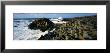 Giants Causeway, Ireland by Panoramic Images Limited Edition Print