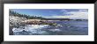 Rocks Along The Coast, Atlantic Ocean, Acadia National Park, Maine, Usa by Panoramic Images Limited Edition Print