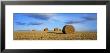 Hay Bales, Scotland, United Kingdom by Panoramic Images Limited Edition Print