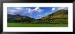 Two Sheep Grazing In Field, High Snockrigg, Buttermere Village, Lake District, Cumbria, England, Uk by Panoramic Images Limited Edition Print