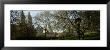 Park In Front Of A Building, Central Park, New York City, New York State, Usa by Panoramic Images Limited Edition Print