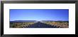 Road, Nevada, Usa by Panoramic Images Limited Edition Print