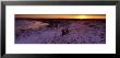 Bench On A Snow Covered Landscape, Filey Bay, Yorkshire, England, United Kingdom by Panoramic Images Limited Edition Print