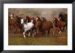 Wild Horses by Ron Kimball Limited Edition Pricing Art Print
