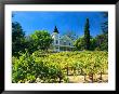 Victorian St. Clement Winery, St. Helen, Napa Valley Wine Country, California, Usa by John Alves Limited Edition Print